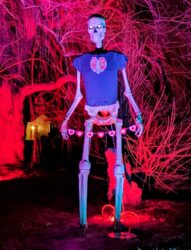 SkellyFit.com